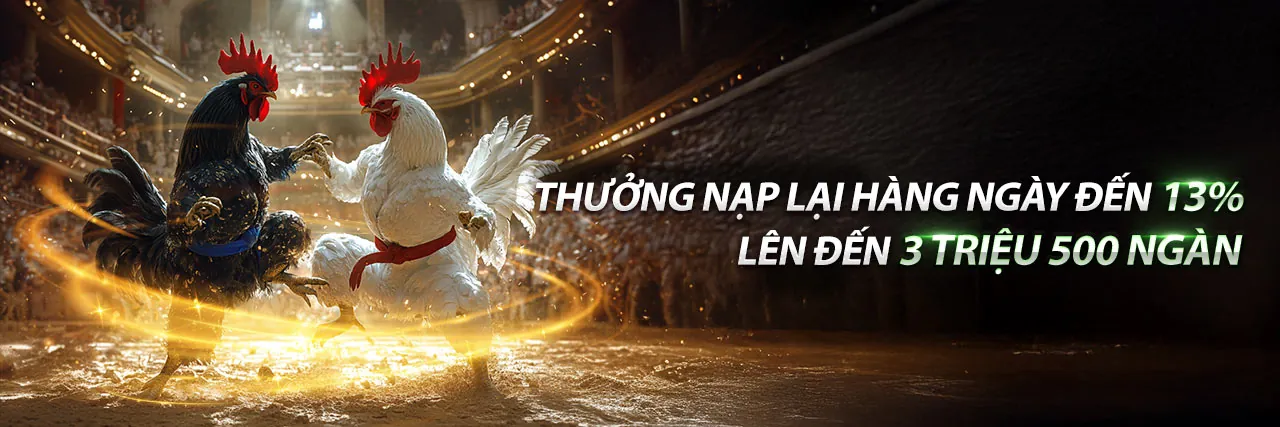 Hình ảnh chính Blog qq188 link mới - Cá cược trực tuyến